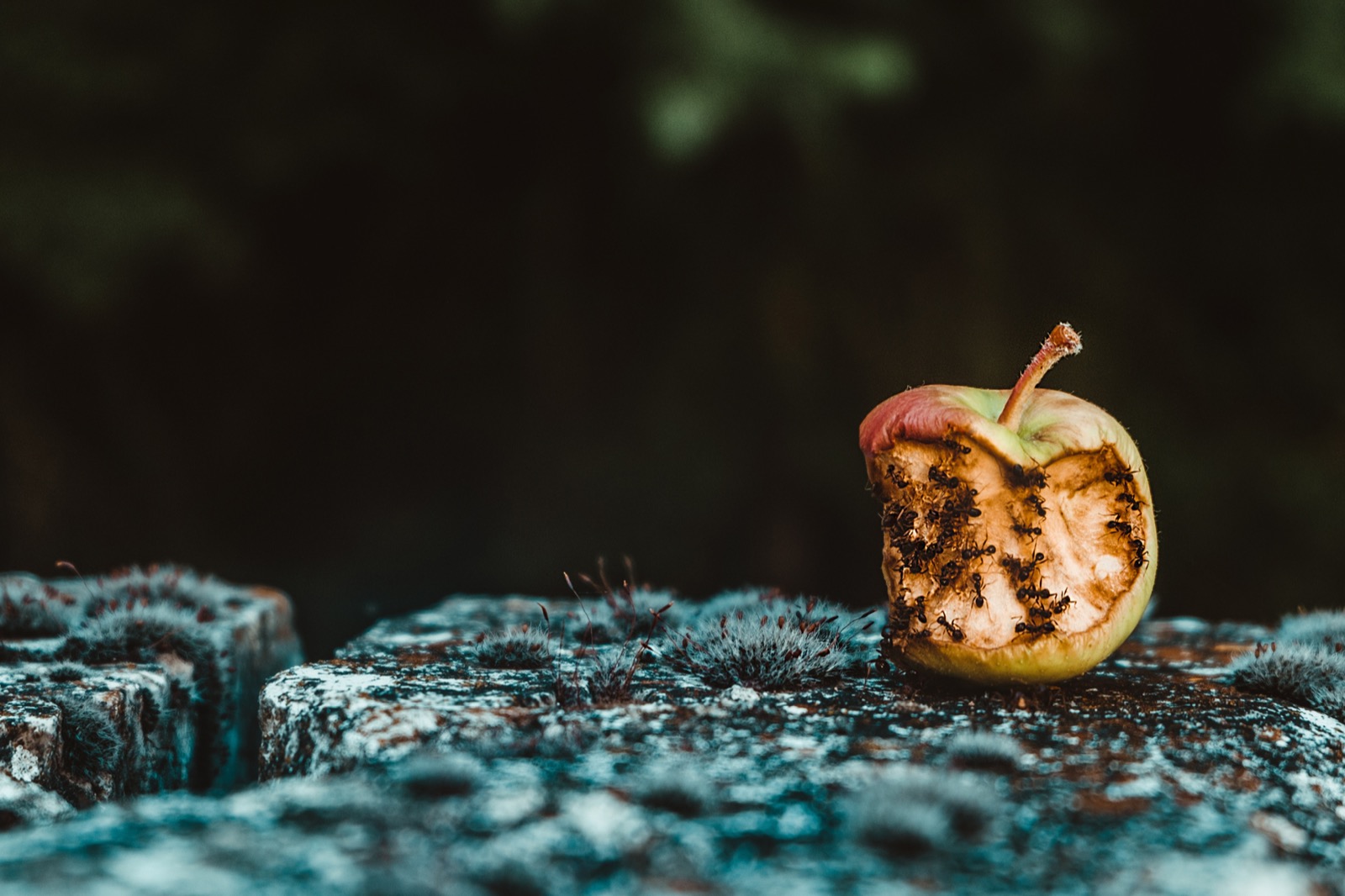 What can we learn from bad experiences